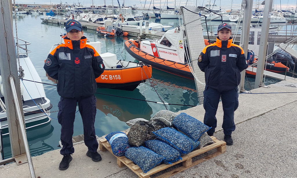 Roseto Guardia Costiera Verifiche E Sanzioni Tg Roseto