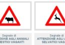 animali vaganti