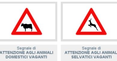 animali vaganti