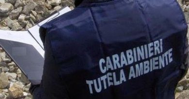 carabinieri tutela ambiente