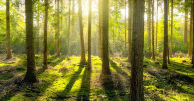 proteggiamo ambiente