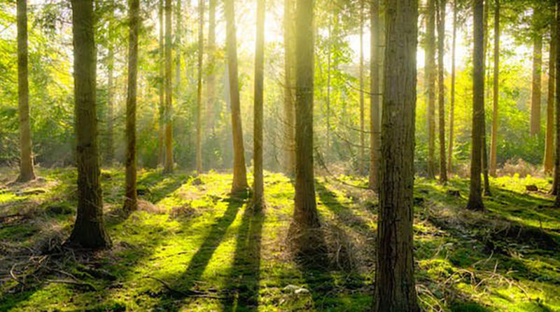 proteggiamo ambiente