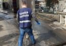 polizia ambientale