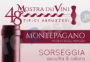 48 mostra dei vini Montepagano Roseto 2019