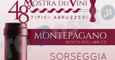 48 mostra dei vini Montepagano Roseto 2019