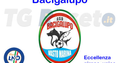 Bacigalupo