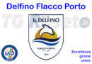 delfino flacco