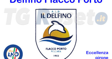 delfino flacco