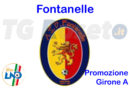 fontanelle calciio