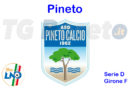 pineto calcio