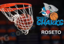 roseto sharks