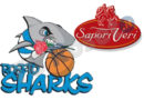 roseto sharks