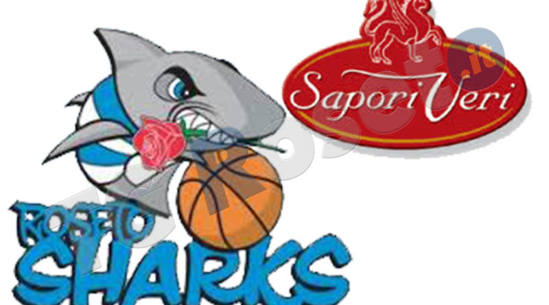 roseto sharks