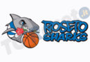 sharks-roseto-logo
