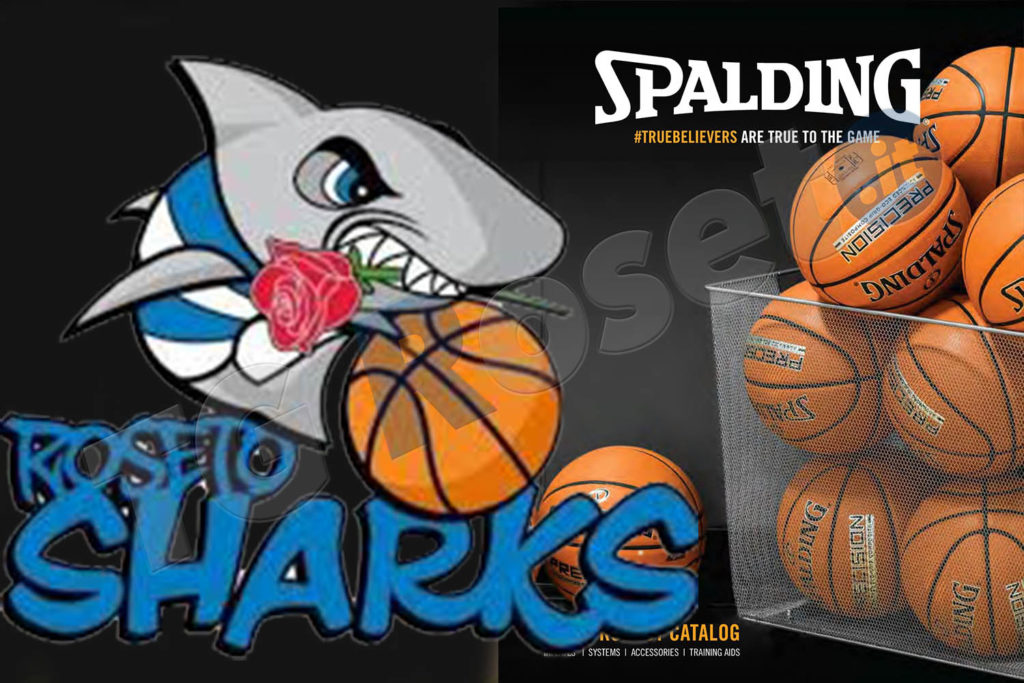 sharks-spalding