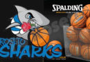 sharks-spalding