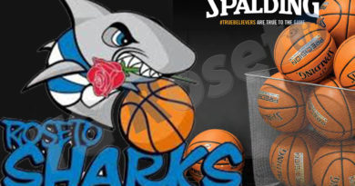 sharks-spalding