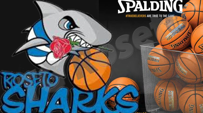 sharks-spalding