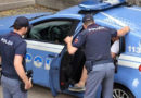 polizia arresto