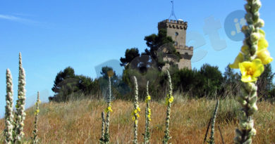 torre cerrano