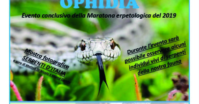 Ophidia