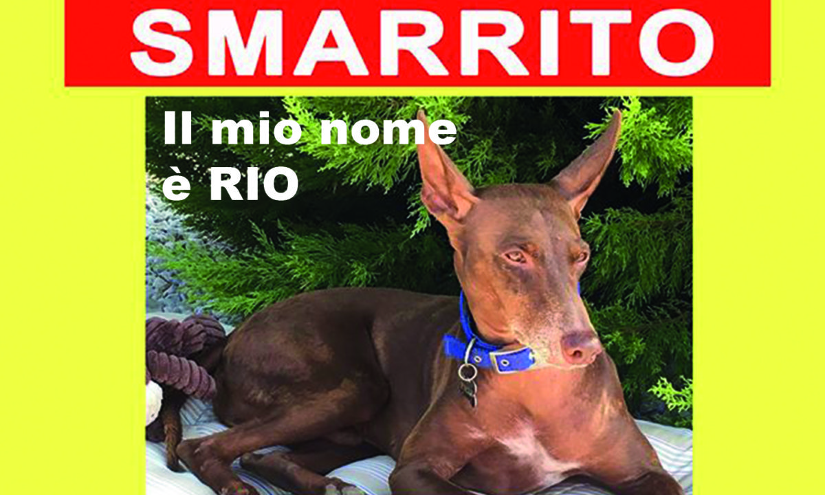 cane Rio