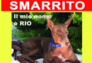 cane Rio