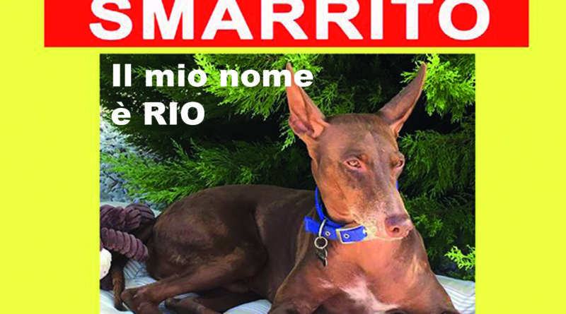 cane Rio