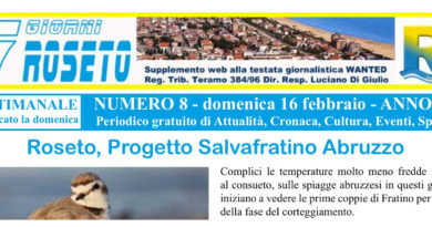 7 giorni roseto