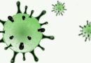 coronavirus 6