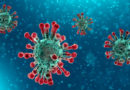 coronavirus 2