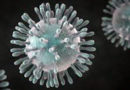 coronavirus 5