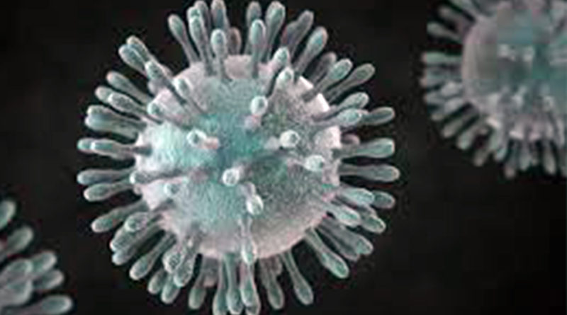 coronavirus 5