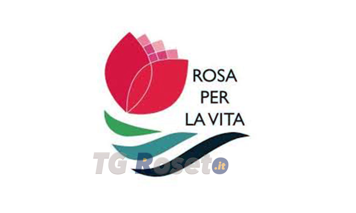 rosa per la vita