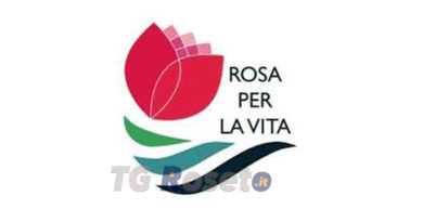 rosa per la vita