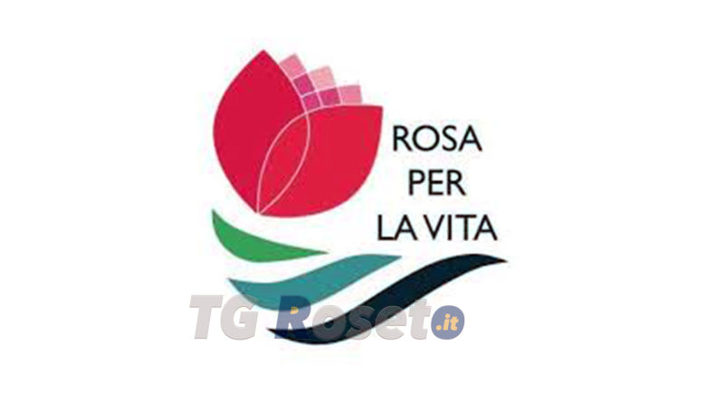 rosa per la vita