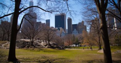 Central Park New York