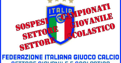 calcio fgci