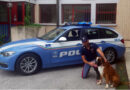 polizia