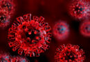 Coronavirus Zona Rossa