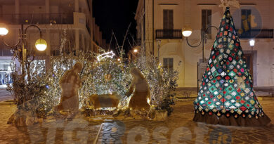 roseto presepe