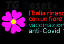 vaccinazione covid