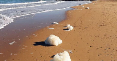 spiaggia