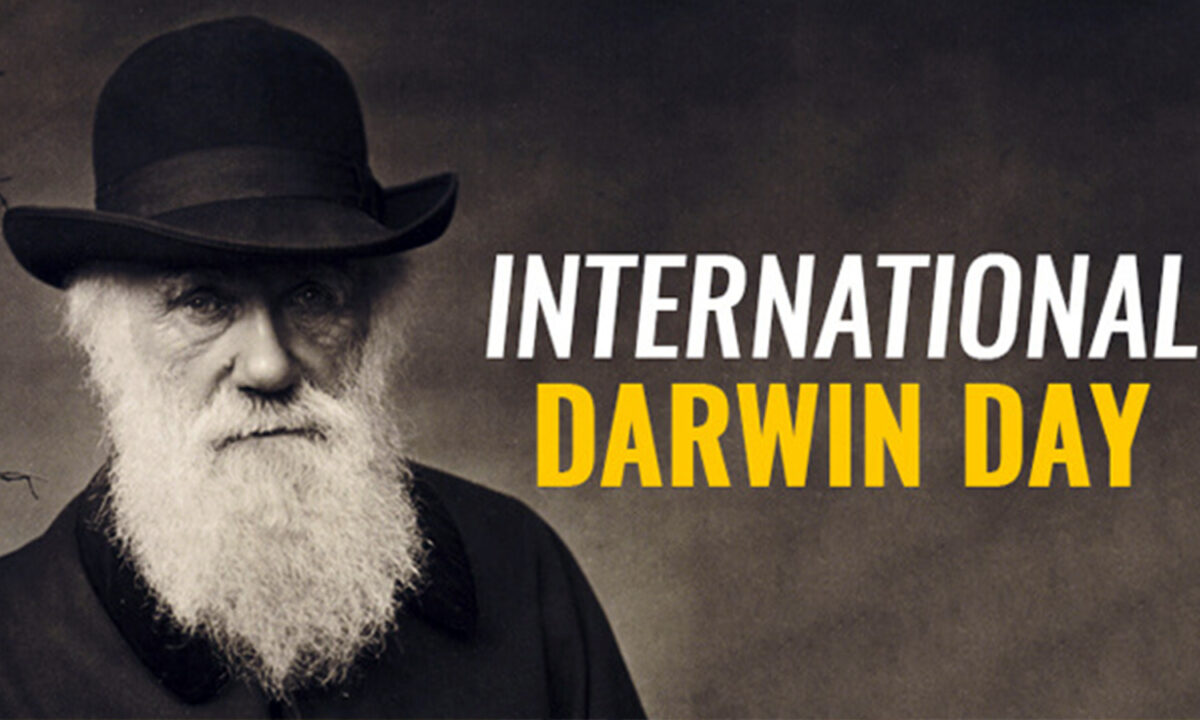 darwin