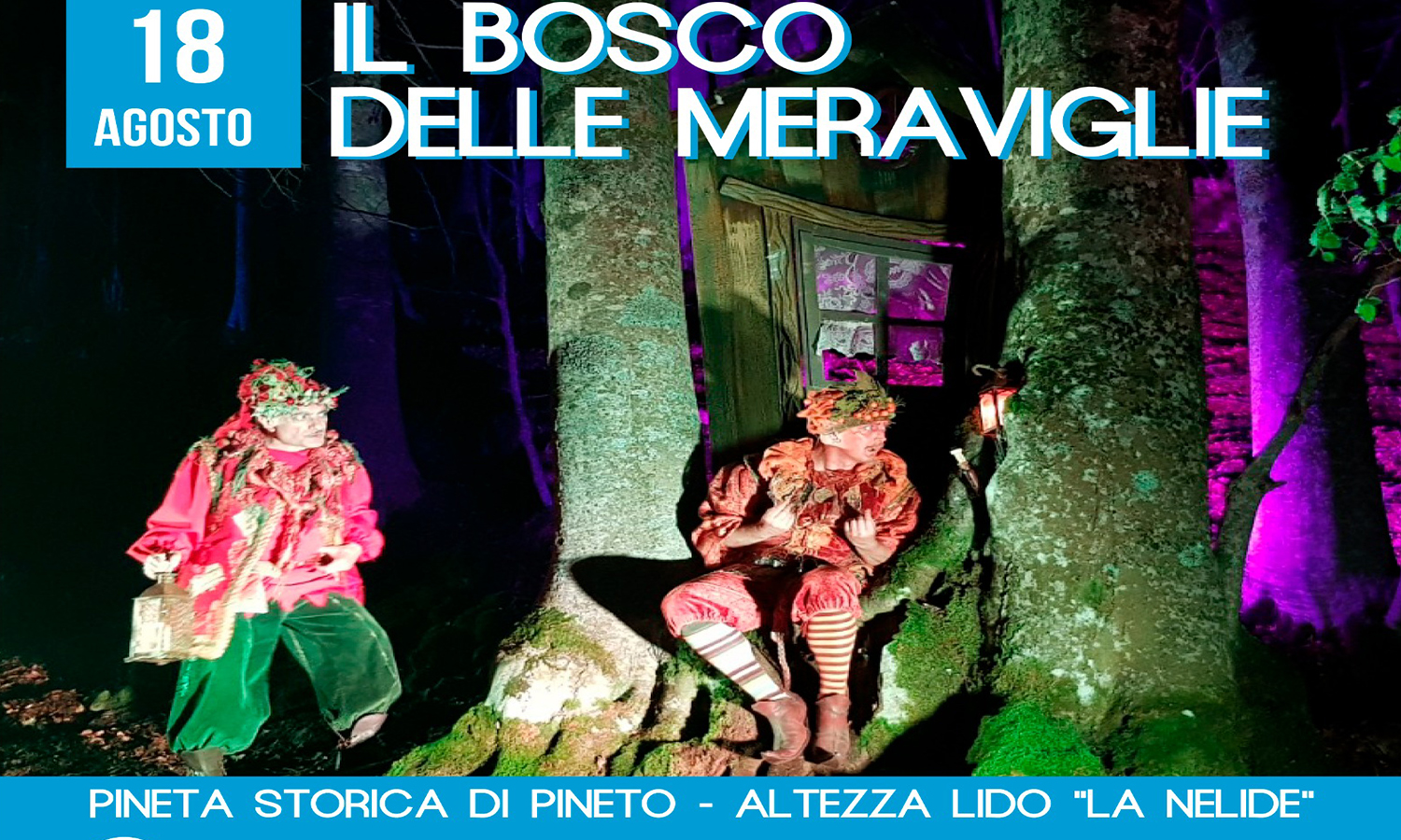 pineto bosco meraviglie