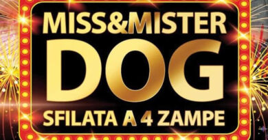 Miss e Mister Dog