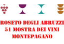 mostra vini montepagano