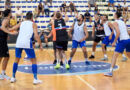 pallacanestro roseto