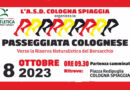 cologna spiaggia