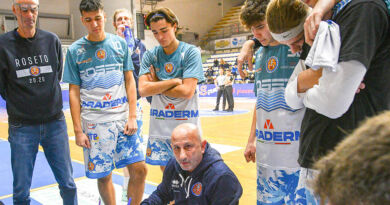 basket 20.20